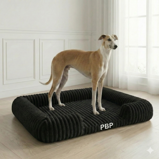 PBP Recovery Bed